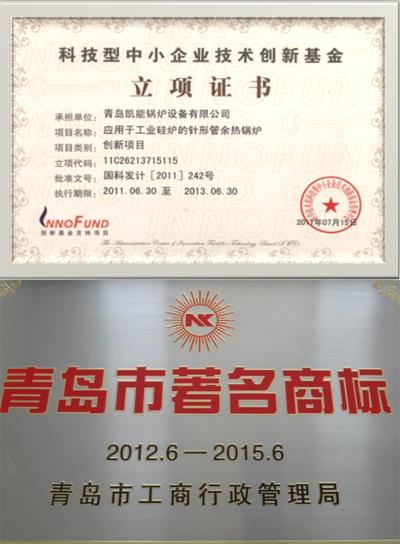 青島市著名商標、科技型中小企業技術創新立項基金