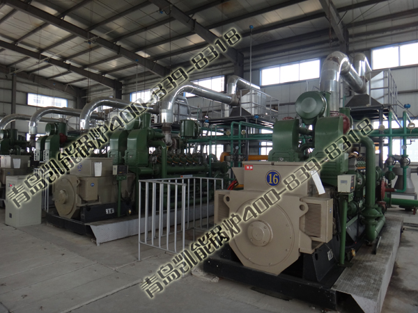 凱能針形管余熱鍋爐 凱能針形管余熱鍋爐