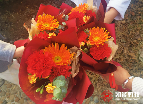 女生節快樂 女生節快樂