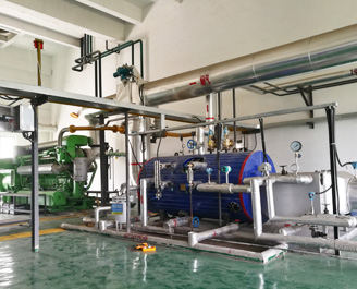 1000kW 沼氣發電機組余熱鍋爐