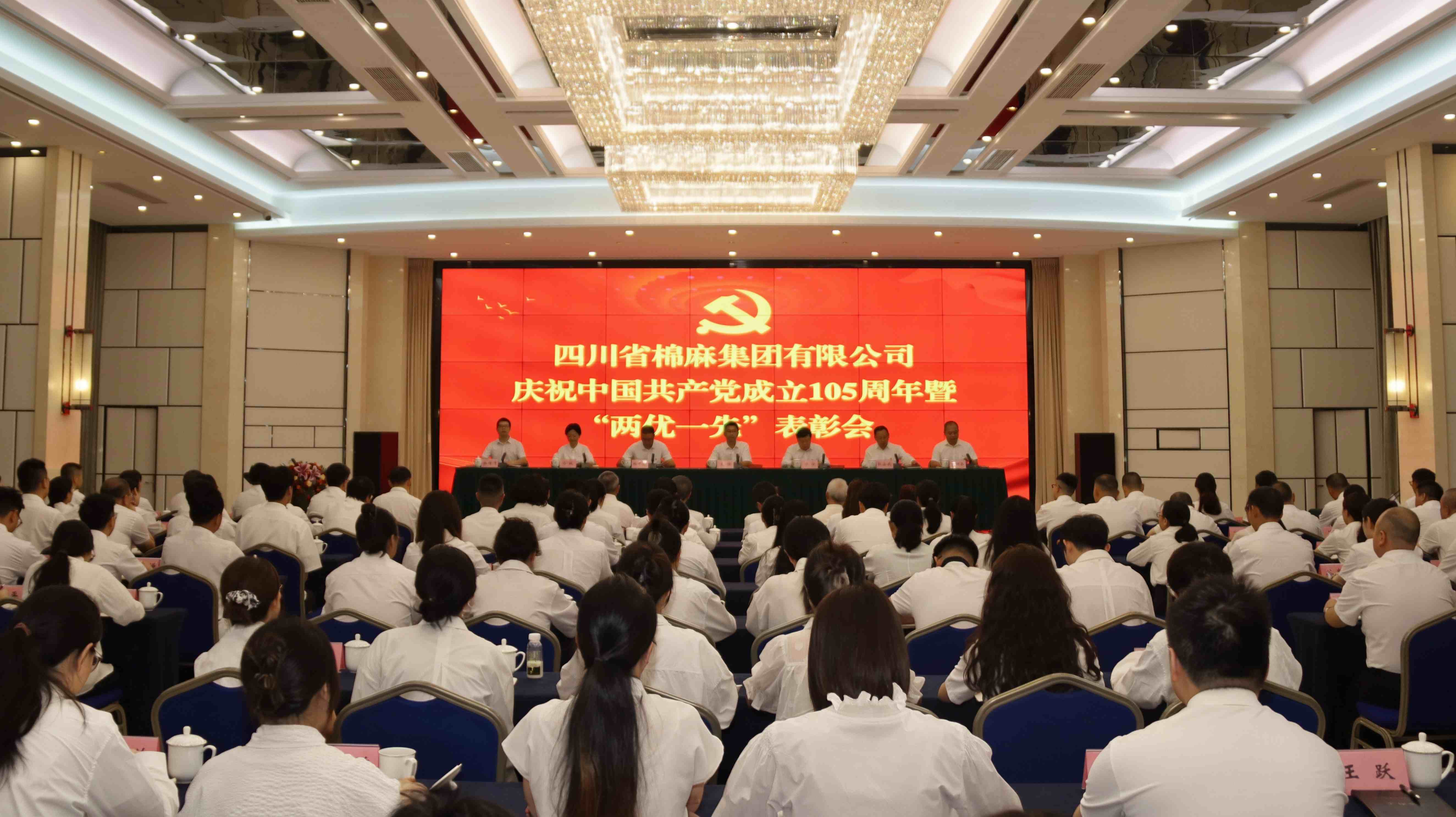 集團(tuán)公司召開慶祝中國共產(chǎn)黨成立105周年暨“兩優(yōu)一先”表彰會和2026年上半年工作總結(jié)匯報會