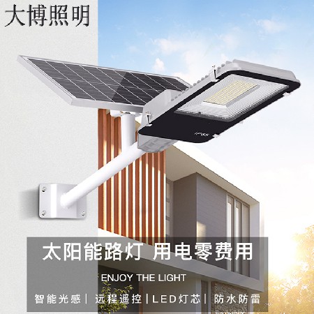 LED太陽能路燈農(nóng)村改造道路照明工程6米光伏太陽能路燈廠家批發(fā)